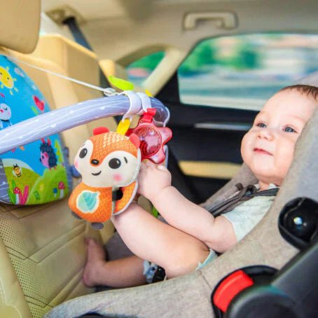 Car Accessories - Baby Bubble